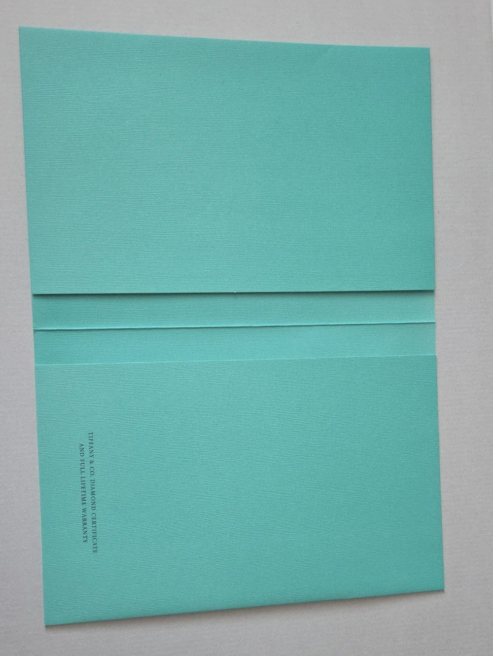 Tiffany & Co. Turquoise Document Pocket Folder